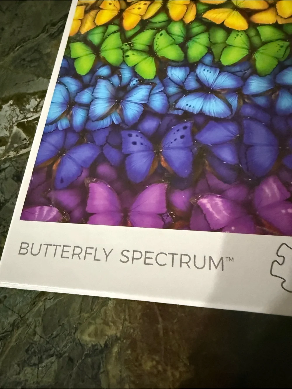 Vibrant Rainbow Butterfly Wall Art Print - Multicolor Puzzle